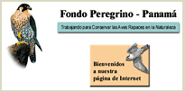 http://www.fondoperegrino.org/
