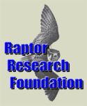 http://raptorresearchfoundation.org/